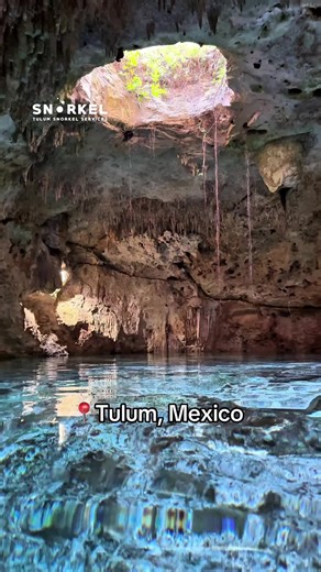 Tulum Snorkel Services on TikTok