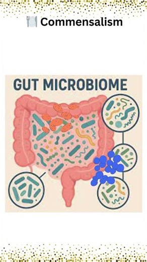 🦠 Microbial Interactions Explained. Mutualism, Commensalism, Synergism, Antagonism & Parasitism