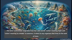 Corticosteroid synthesis in biology
