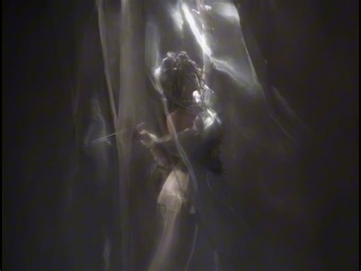 【Feral Nettle🍃…】