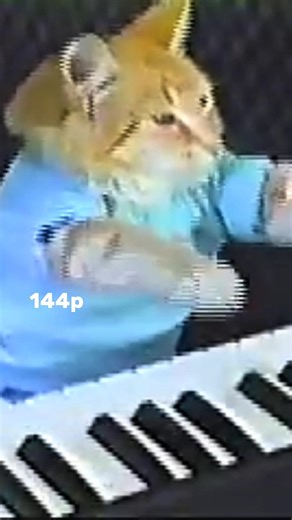 144p Keyboard cat Restored to 4K 😱#cat #shorts