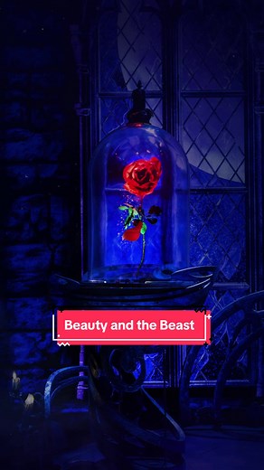 Beauty and the Beast North American Tour 2025
