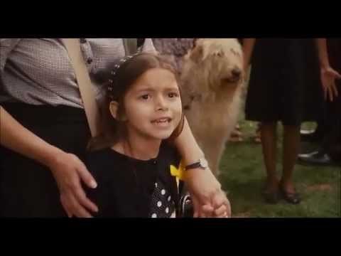 GrownUps - Bug Zapper