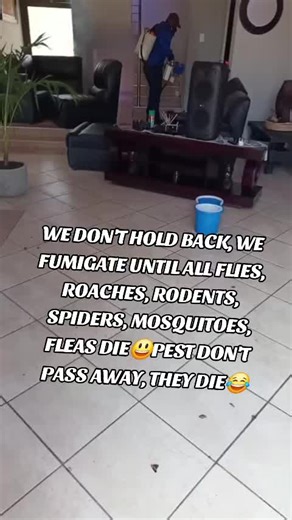 We specialize in pests control of all kind - we deal with structural, termites, herbicides, Weed etc. We're a fully loaded, well functioning registered company. #pestpolice #pestcontrol #exterminator