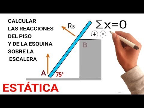 ✅ FISICA ESTATICA y APLICACION DE LA TERCERA LEY DE NEWTON (Las Fuerzas de Reacción en la Escalera)