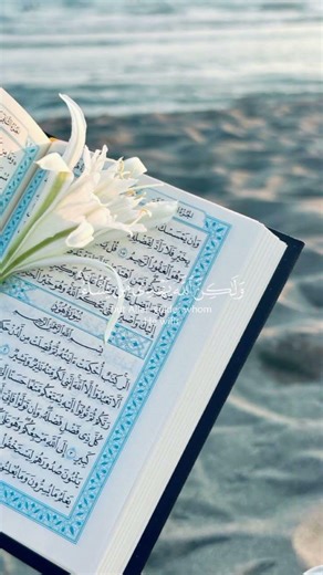 اسمعوها #لايك#اشتراك#كومت#احبكم 🌸✨