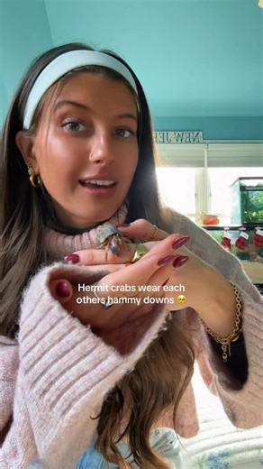 Janie Groeling on Instagram: "Hermit crabs pass down thier pants and l felt the need to share that with the world 👖How cute #hermitcrabs #hermitcrab #nature #animals #ocean #pets #beach"