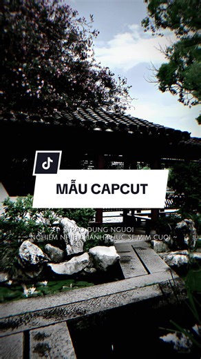 Trao đúng người nghiễm nhiên hạnh phúc kia sẽ mỉm cười... #nhachaymoingay #capcutmaster #capcut #capcutpioneer #pioneertemplate