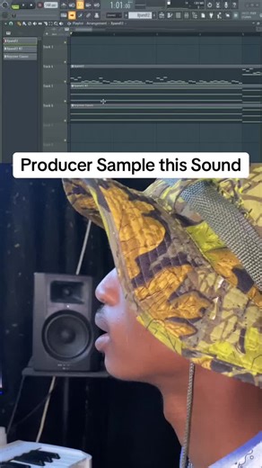 Sample This: Discovering Hip Hop Beats for Producers