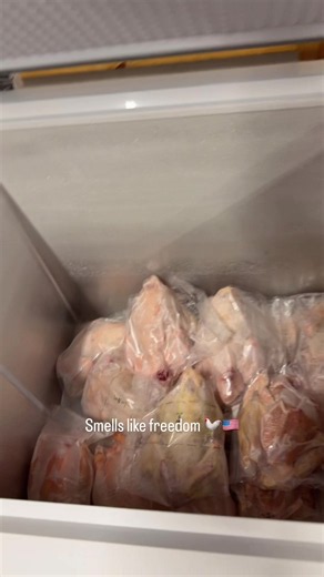 ‼️ DISCLAIMER ‼️ Processing chickens! I don’t show much but don’t watch if you don’t want to see!