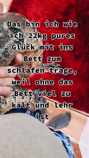 Black_pyhton mit Big Mom #schlange #lieber #schlange #als #katze