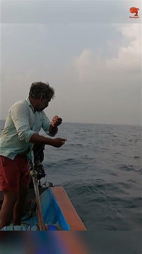 Hooked on Indian Scad – Barracuda Fishing Adventure! #fishing #fishingvideo #fishingtime