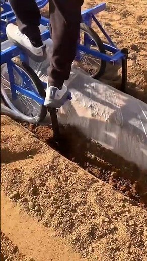 Worker operating manual farm machine to create planting holes in soil