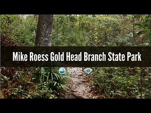 Firsthand Florida Fun: Mike Roess Gold Head Branch State Park
