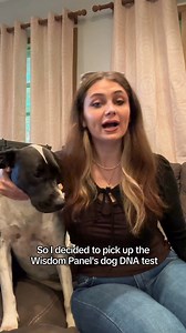 2.3M views · 10K reactions | Wisdom Panel tests use 20+ years of research to deliver in-depth insights into your pet’s health, breed, traits, and more. | Wisdom Panel | Facebook