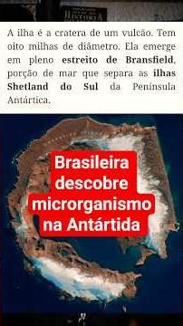 Pesquisadora brasileira descobre Arqueia extremófila