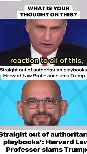 'Straight out of authoritarian playbooks'Harvard Law Professor slams Trump #fbreelsfypシ゚viralvideo #fbyシvideo #fbreelsfypシ゚ #facebookreelsviral #usareels #facebookreel #canada #Politics #China#45 #DonaldTrump #truestory #Trump #taxseason | Tale 2X | Facebook