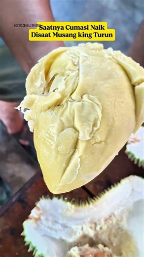 🔥 Time for Cumasi to Rise⁉️ As Musang King Prices Fall, This Rare Durian Steals the Spotlight‼️ 👑