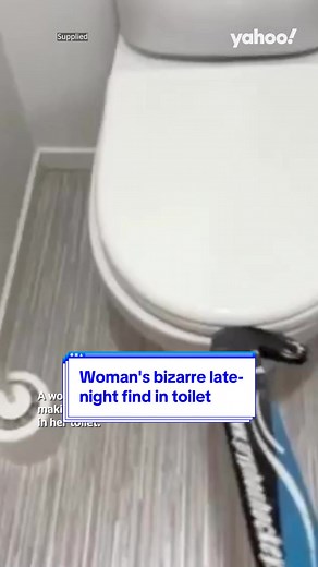 Woman's Late-Night Encounter with a Rat in her Toilet
