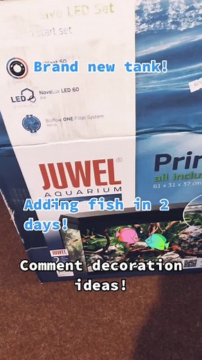 Setting up a brand new 60L fish/shrimp tank! 😍 #fish #aquarium #fishtank #fishtankcleaning #fishtanks #newfish #foryoupage
