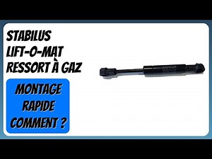 AVIS (2026): Stabilus Lift-O-Mat Ressort à gaz. DÉTAILS