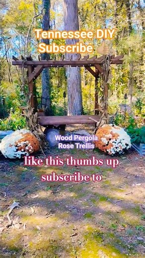 CHARMING BACKYARD Easy DIY🪵 Wood Projects PERGOLA TRELLIS #shortvideo #woodworking #diyprojects #diy