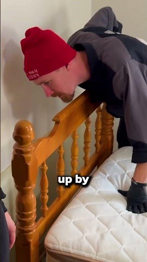 How to Check for Bed Bugs!