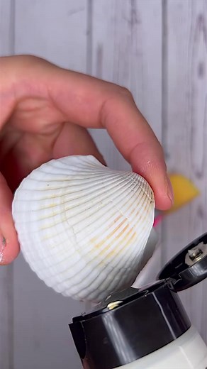 It's a shell-tastic painting! 🐚 #diy #crafts #craftfactory | Craft Factory