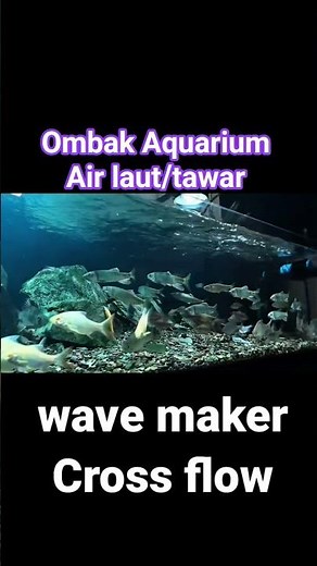 wave maker, aquarium wave maker machine | wave maker cross flow