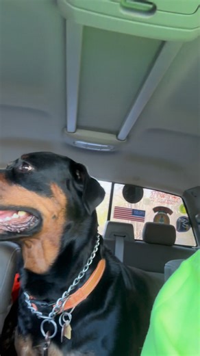 28 reactions · 4 comments | William Morse on Reels | Facebook