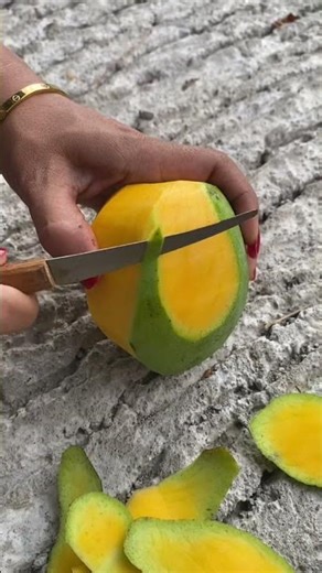 Fres Mango #mango