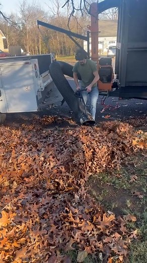 4K views · 50 shares | Call us today! Serving Monett/Surrounding￼ areas. Offering leaf removal Curbside leaf pickup Other services include: Christmas light installation/Removal $3 a foot Small engine repair/Mower servicing Mowing/Trimming We’ve got you covered  816-591-0380 ￼ | Lawn mechanics | Facebook