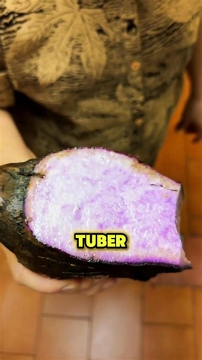 Taro Roots That Must Be Cooked the Right Way! #taro #taroRoot #colocasiaesculenta