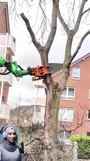 This Machine Cuts Trees in One Move (Field Engineering Explained)