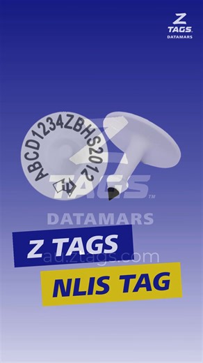 From paddock to computer - seamless cattle data flow. View our tags for cattle at https://au.ztags.com/products/shop-animal/cattle #ZTags #CattleTags | Datamars Livestock AU