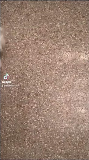 Giving a thrifted lol surprise omg dollie a makeover #shorts