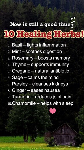 10 Healing Herbs and Their Benefits #affirmations #motivation