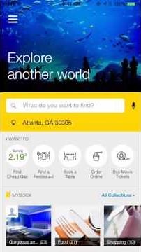 Do it all with the YP app