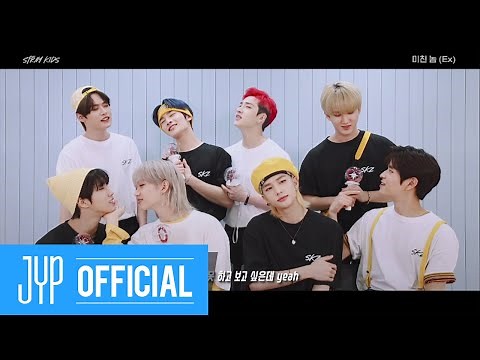Stray Kids "미친 놈 (Ex)" (Feat. STAY) Guide Video