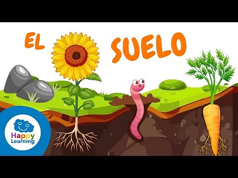 Cosas que no sabías sobre EL SUELO | Ciencias Naturales para Niños | Happy Learning