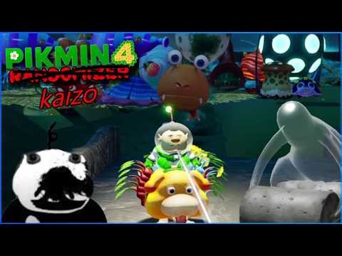 OPPERRATION: BLUE ONION - Pikmin 4 Randomizer Speedrun