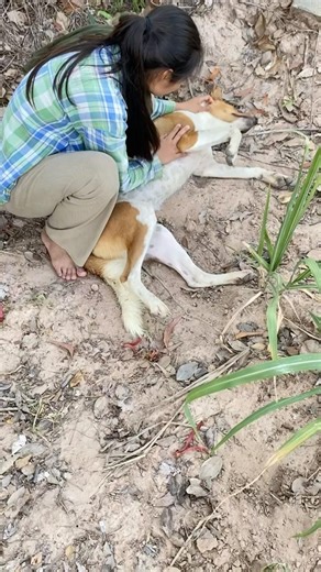 แกล้งยาย#เทรนด์วันนี้ #บ่าวชาวนาสาวสาสุข #หมา #เห็ดหอม #สุนัขน่ารัก