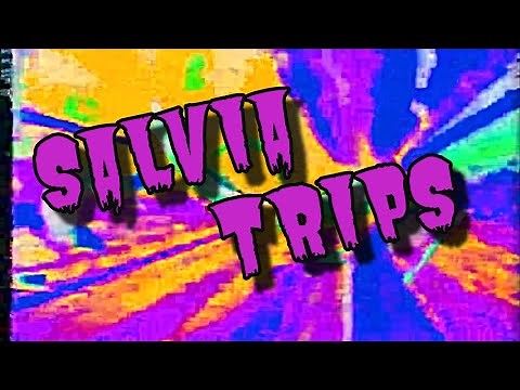 Salvia Trip Compilation 3
