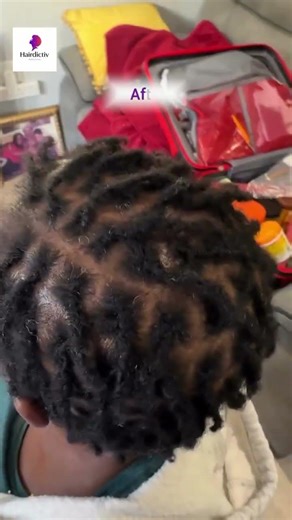 Starter Locs Update | 2 Months Later