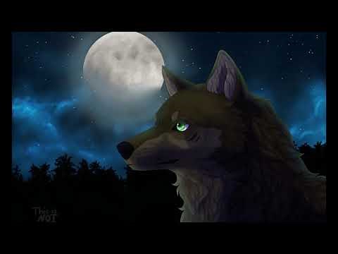Anime Wolves - Bad Dream