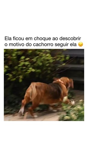 Seu Filme Favorito on Instagram: "Nos siga (@seufilmefavorito) para descobrir aquele seu novo filme favorito. 🎥 Aquela Doença com C #filmes #reelsbrasil #filme #serie #series #dicadefilme #dicasdefilme #cinéfilo #cinefilo #cinema #streaming #filmeseseries #cinemaemcasa #cenas #cenasdefilmes"