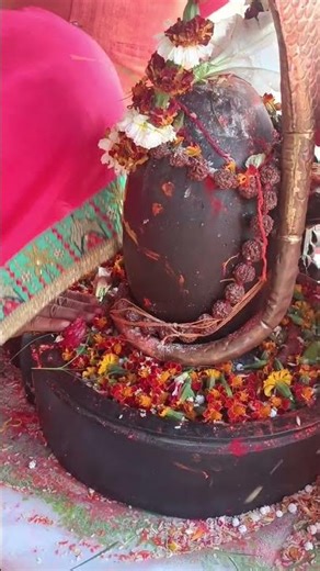 har har Mahadev 🙏🌿#ytshorts #shortvideo #