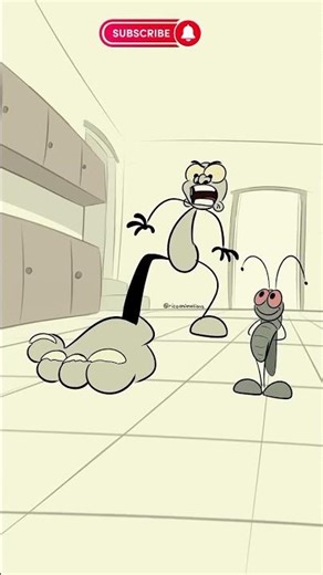 Naco and Noco Animation