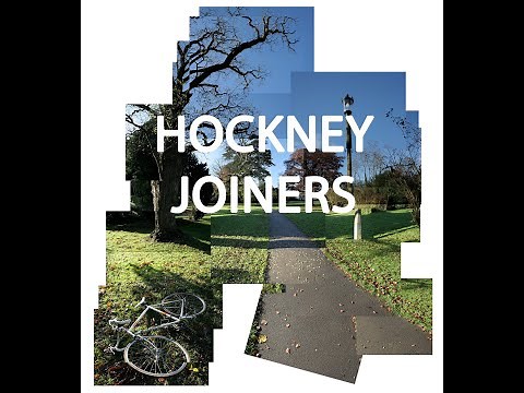 David Hockney Joiner.