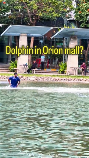 Karnataka flyboarder | FLY. DIVE. VIBE. 🐬💦 #flyboard #dolphin” #watersports #kannadatrending #karnataka | Instagram